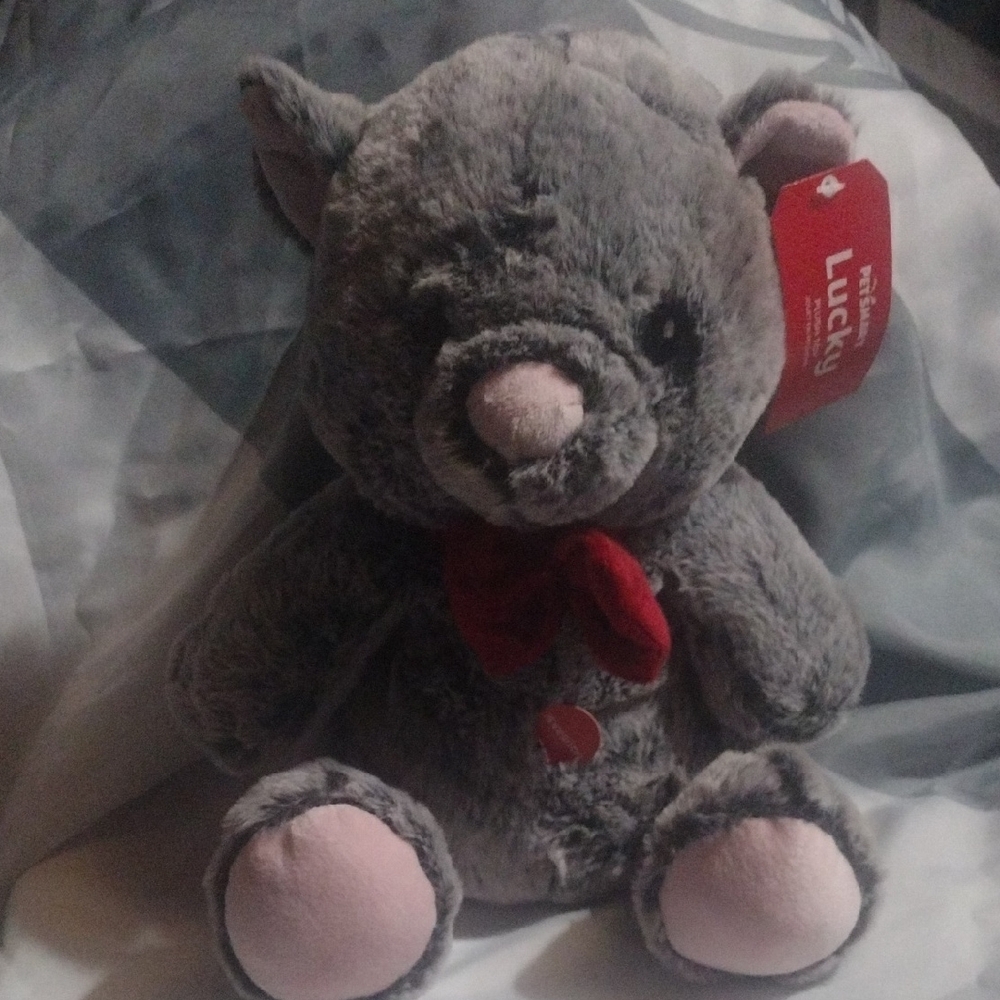 Gray Plush Dog Toy